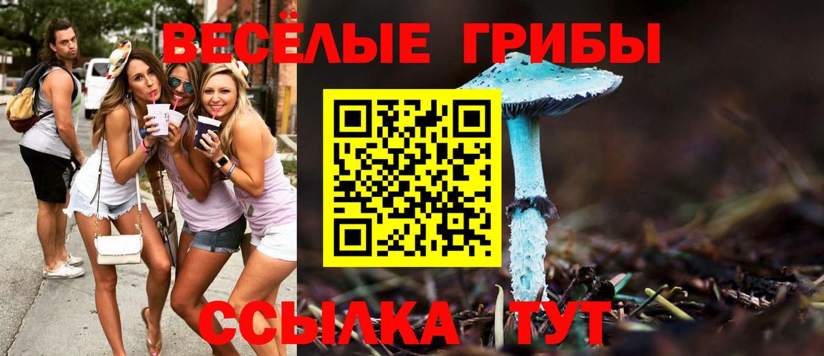 Псилоцибиновые грибы Psilocybe  Вход с VPN  Галлюциногенные грибы ЛСД  Белореченск 