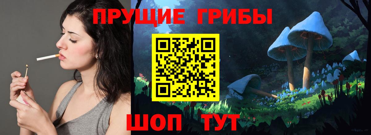 Псилоцибиновые грибы GOLDEN TEACHER Белореченск