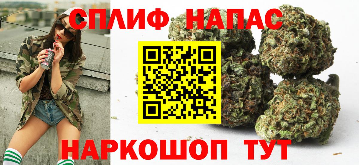 Конопля план Белореченск